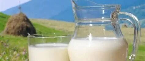 乳業透視:分化陣痛中轉型,價值升維里突圍