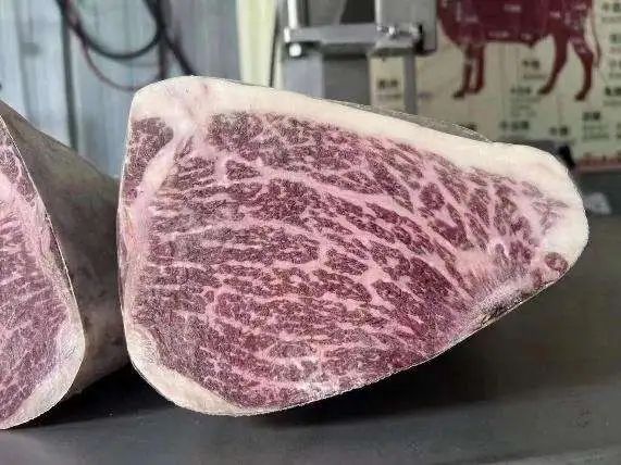 SIAL西雅國(guó)際食品展